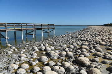 Living Fossils: The Thrombolites of Lake Clifton