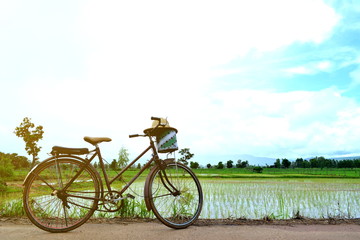 Fototapeta na wymiar Bicycle on green field