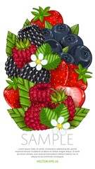 Set of berries mix vector isolated. Healthy eat. Strawberry, grapes, blackberry. Natural organic food. Ingredients for a vegetarian meal. Sweet and ripe summer berries.