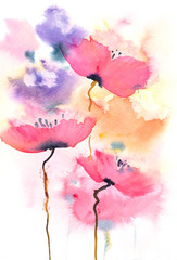 Beautiful Poppy flowers, watercolor painting