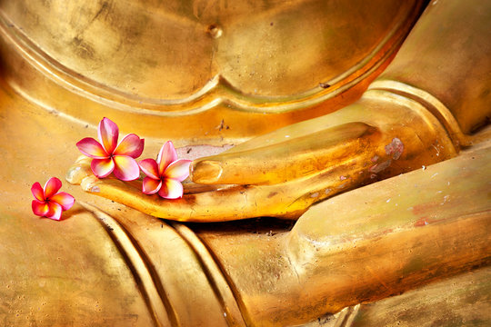 flower in hand image of buddha