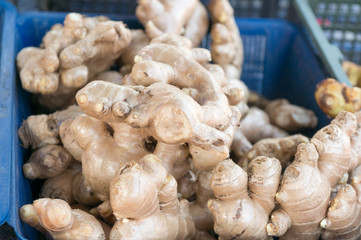 Ginger root at the market