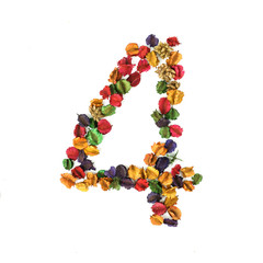 Alphabet number 4, Dried flower isolated on white background