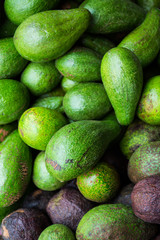 Avocado background. Fresh green avocado on a market stail. Food