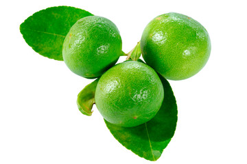 Fresh limes and leaves Isolated on white