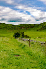 Portrait view of Dovedale in the peak district