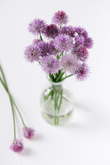 Bouquet of fresh chives flower from the garden in glass vase. Selective focus. 