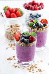 Blueberry dessert with fresh berries and granola 
