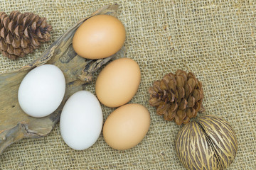 Fresh brown eggs and white egg on sackcloth