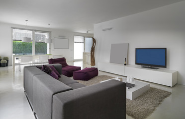 interior view of a modern living room with gray sofa and purple arrmcahir
