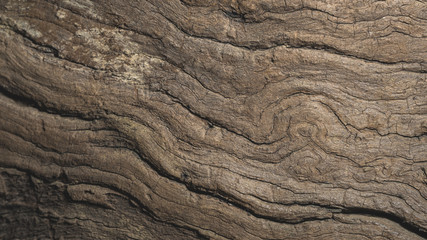 Old wood texture
