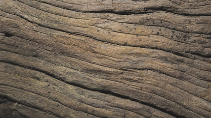 Fototapeta premium Old wood texture