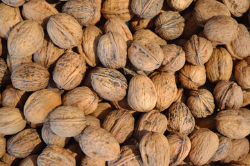 Walnuts close up background texture filling frame