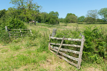 Agriculture landscape with fence