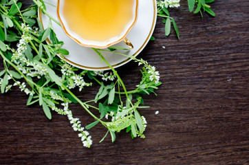 herbal sweetclover tea in a porcelain cup on a dark wooden background