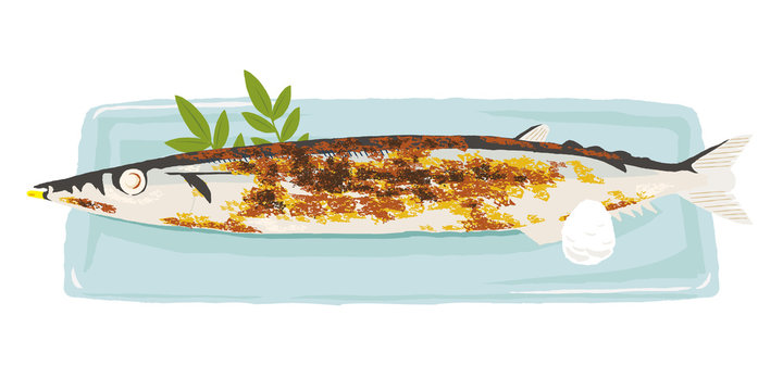 Pacific Saury