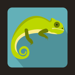 Green iguana icon in flat style with long shadow. Reptiles symbol