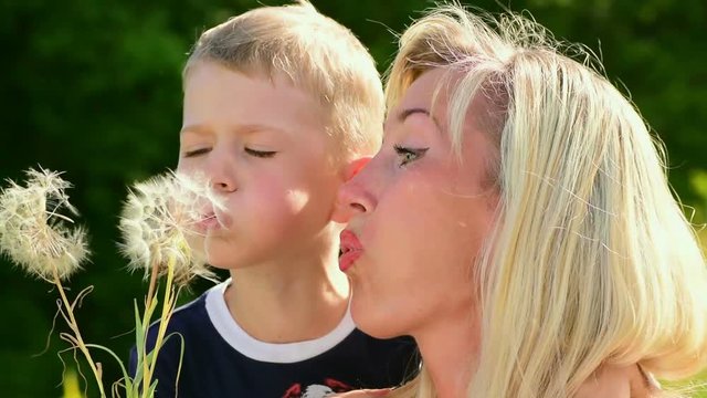 The young woman and the little boy blow on a big dandelion
