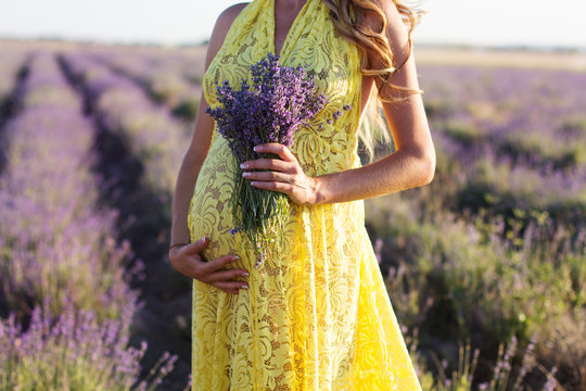 Belly of pregnant woman in a lavender field
