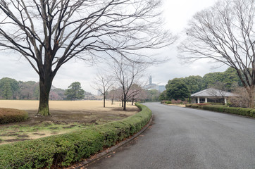 Empty road in Imperial palace garden at morning. Tokyo, Japan