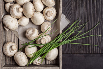 Mushrooms, onions and chives in a studio.