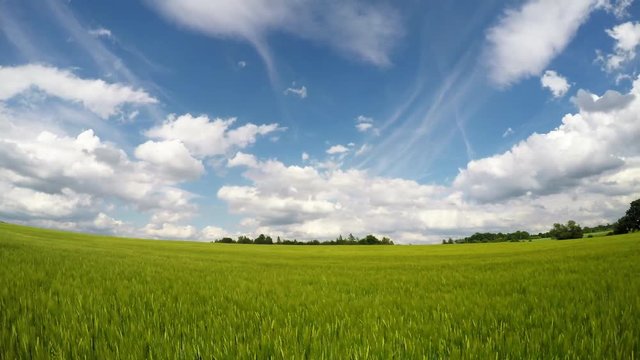 Timelapse of Clouds Above Corn Field