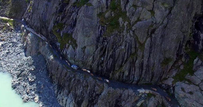 Aerial 4k - Valmalenco (IT) - Transumanza