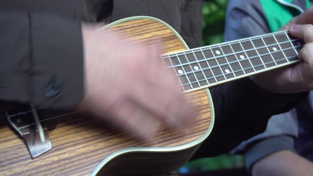 Ukulele Closeup