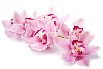 Türaufkleber Orchidee rosa Orchideenblüten isoliert auf weiß