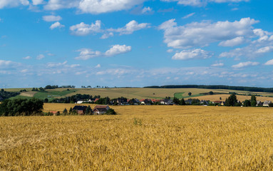 Sommer Getreidefeld
