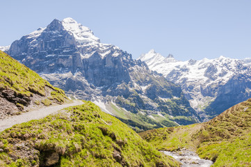 Obraz premium Grindelwald, Berner Oberland, Grosse Scheidegg, Wetterhorn, Schreckhorn, Alpen, Wanderweg, Höhenweg, First, Sommer, Schweiz