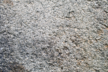 Rough Concrete Texture