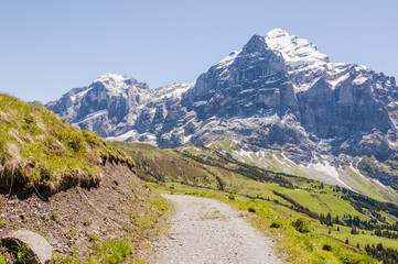 Grindelwald, Berner Oberland, Alpen, Wetterhorn, Engelhörner, Wanderweg, Höhenweg, First, Grosse Scheidegg, Schweizer Berge, Sommer, Schweiz