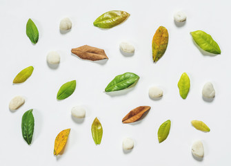 Leaves and pebble stones wallpaper 