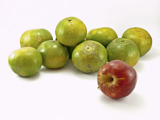 The fruits