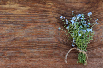 Bouquet of forget-me-nots on an old wooden background