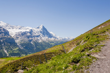 Grindelwald, Berner Oberland, Alpen, Eiger, Eigernordwand, Wanderweg, Höhenweg, First, Grosse Scheidegg, Sommer, Schweiz