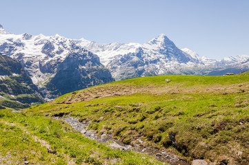 Fototapeta na wymiar Grindelwald, Berner Oberland, Alpen, Eiger, Kleine Scheidegg, Schreckhorn, Schweizer Berge, First, Wanderweg, Schreckfeld, Sommer, schweiz