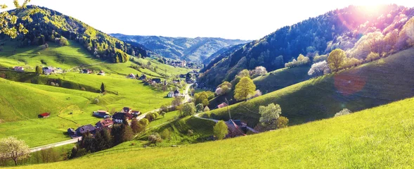 Fotobehang Scenic view of a picturesque hilly valley in Germany, Schwarzwald with forests old village and monastery. Panoramic summer landscape. © Funny Studio