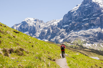 Fototapeta na wymiar Grindelwald, Alpen, Berner Oberland, Wetterhorn, Grosse Scheidegg, Engelhörner, Wanderweg, First, Wanderer, Schweizer Berge, Sommer, Schweiz