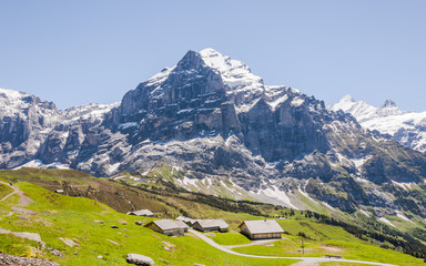 Grindelwald, Berner Oberland, Alpen, Grosse Scheidegg, Alm, Bergbauer, Wanderweg, Höhenweg, Schweizer Berge, Sommer, Schweiz