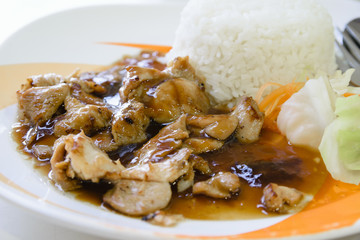 Teriyaki Chicken With Steam Rice