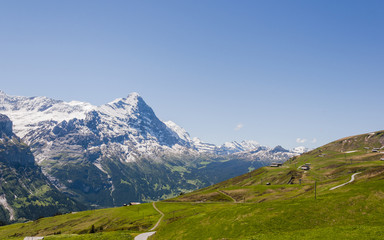 Fototapeta na wymiar Grindelwald, Alpen, Berner Oberland, Kleine Scheidegg, Eiger, Eigernordwand, Lauberhorn, First, Schreckfeld, Wanderweg, Sommer, Schweiz
