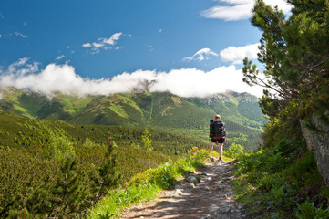 Young woman watching beautiful view of Tatras. Tatras National Park. Vysoke tatry. Slovakia. Nature of Slovakia. Mountains. Forest. Woman hiking. Trekking in Tatras.