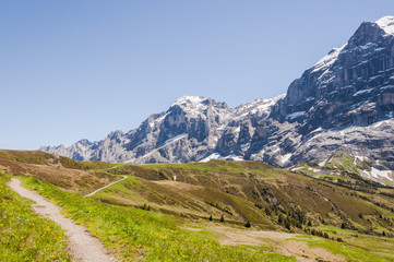 Grindelwald, Berner Oberland, Engelhörner, Wetterhorn, Grosse Scheidegg, Höhenweg, First, Alpen, Schweizer Berge, Sommer, Schweiz