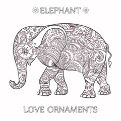 Beautiful card vector