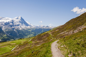 Fototapeta na wymiar Grindelwald, Berner Oberland, Alpen, Eiger, Eigernordwand, Mönch, First, Waldspitz, Wanderweg, Sommer, Schweiz