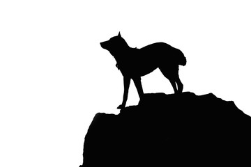 Fototapeta na wymiar Wolf profile. Wolf silhouette on a cliff black and white design isolated on white background