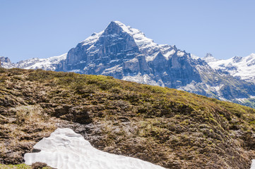 Grindelwald, Berner Oberland, Wetterhorn, Alpen, Grosse Scheidegg, Wanderferien, Wanderweg, First, Schweizer Berge, Sommer, Schweiz