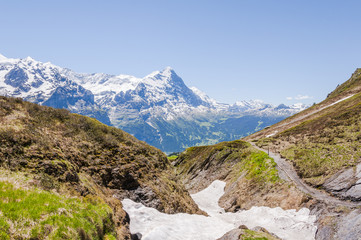 Grindelwald, Berner Oberland, Alpen, Eiger, Eigernordwand, First, Wanderweg, Schweizer Alpen, Wanderferien, Sommer, Schweiz